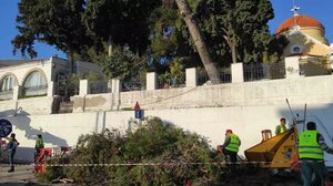 Διατηρείται η προσωρινή διαταγή: Απαγορεύεται κάθε κοπή δέντρου σε Δειλινά και νεκροταφείο