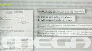 Μαρία Τσάλλα: Αυτό είναι το έγγραφο με το οποίο δόθηκε το «πράσινο φως» για ελληνική ταυτότητα