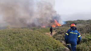 Χιλιάδες πυροσβέστες και δασοκομάντος στη μάχη με τις φλόγες