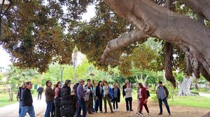 Συνάντηση γεωτεχνικών στα Χανιά, για το αστικό πράσινο 