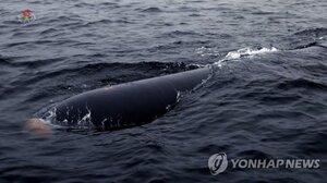 Η βόρεια Κορέα δοκίμασε υποβρύχιο drone, ικανο να χρησιμοποιηθεί σε πυρηνική επίθεση