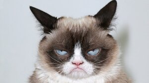 Αυτά είναι τα πέντε ζώδια που δεν ικανοποιούνται με τίποτα