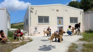 Διευρυμένο ωράριο λειτουργίας στο κυνοκομείο του Δήμου Ηρακλείου