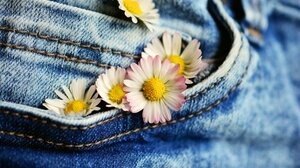 Το κίνημα της απλυσιάς: Τι είναι, ποιοι το ακολουθούν και τι πρεσβεύει