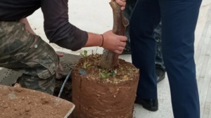 Δίνουν ξανά "ζωή" στον δρόμο που γνώρισε μεγάλες εμπορικές δόξες