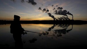 Θαλασσινά: Σε κίνδυνο το 90% των αποθεμάτων σε όλο τον κόσμο