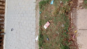 Ένα πάρκο ... στο έλεος!