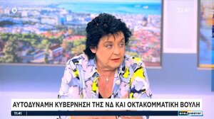 Λ. Κανέλλη για Κασιδιάρη: «Κλεινόταν στον καμπινέ για να μην πάει αυτόφωρο και το παίζει αντισυστημικός»