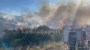 Μεγάλη φωτιά στη Λαμία, κάτω από τον Προφήτη Ηλία