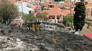 Φωτιά στη Βοιωτία – Έφτασε κοντά σε σπίτια