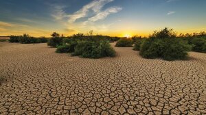 "Το φαινόμενο El Niño θα έχει τουλάχιστον μετριασμένη ένταση"