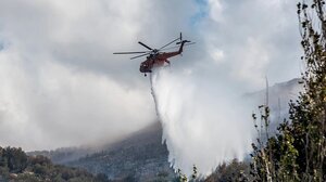 Μπαράζ πυρκαγιών στην Κρήτη - Στη μάχη της κατάσβεσης και εναέρια μέσα!