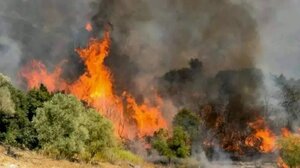 Μεσσηνία: Φωτιά στην Υάμεια - Συναγερμός στην Πυροσβεστική