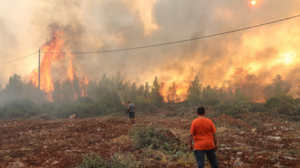 Στη Βουλή το "καυτό" θέμα των δασικών πυρκαγιών σε επίπεδο πολιτικών αρχηγών