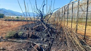 Δύο πύρινα μέτωπα στο Λασίθι - Υπό έλεγχο οι φωτιές