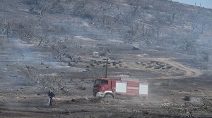  Εισαγγελική έρευνα για τα ζώα που κάηκαν στο ιδιωτικό καταφύγιο στο Λαγονήσι 