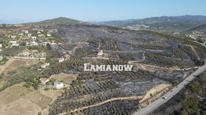 Εικόνες αποκάλυψης, από drone, μετά τη φωτιά στη Μαγνησία!