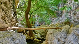 Στο φαράγγι του Αγίου Αντωνίου της Πατσού ο ΠΟΗ