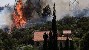 Φωτιά στον Κουβαρά: Έκκληση για τα ζώα – «Μην τα εγκαταλείπετε, κάθε ζωή έχει αξία»