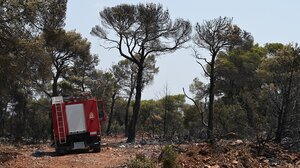 Νέα σύλληψη για εμπρησμό στην Κρήτη