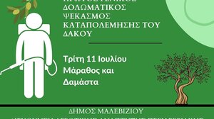 Ξεκινούν οι ψεκασμοί κατά του δάκου σε Δαμάστα και Μάραθος