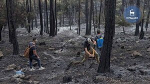 Ρόδος: Δραματικές εικόνες από drone - Στάχτη τα δάση του νησιού - Δείτε βίντεο