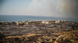 Αναζωπύρωση στο Σέσκλο Μαγνησίας