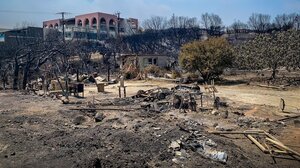 Συνολικά 235 ασφαλισμένες ζημιές από τις δασικές πυρκαγιές 17-28 Ιουλίου