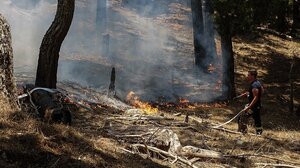 Ανεξέλεγκτη η φωτιά στη Ρόδο: Εκκενώνονται χωριά και ξενοδοχεία