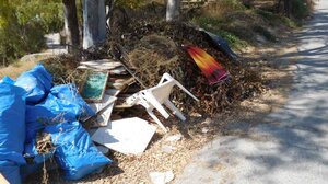 Σκουπίδια σε μια κατάφυτη περιοχή 