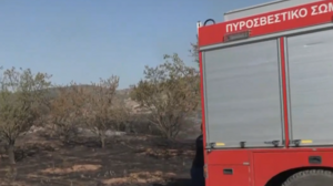 Ανεξέλεγκτη η φωτιά στη Νέα Αγχίαλο - Νέα αναζωπύρωση στη Λαμία - Βελτιωμένη η κατάσταση στον Ασπρόπυργο