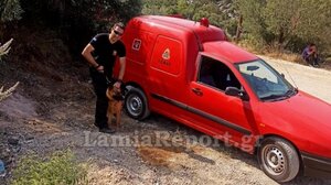 Βοιωτία: Με τη συνδρομή του σκύλου της ΕΜΑΚ οι έρευνες για τον αγνοούμενο τουρίστα