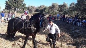 Ώρα για «αλώνισμα» στη Μονή του δήμου Μελεβιζίου