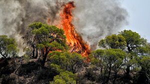 Πυρκαγιές: Αναζωπυρώσεις στη Δυτ. Αττική – Μήνυμα του 112 για εκκένωση 4 οικισμών