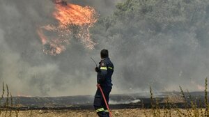 Ενημέρωση Πυροσβεστικής: 90 φωτιές σε όλη την Ελλάδα