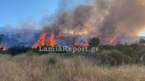 Η Φθιώτιδα θρηνεί θύμα από τις φετινές πυρκαγιές