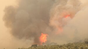 Oι πυρκαγιές "μικραίνουν" το καλάθι των μέτρων στήριξης