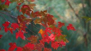 Το Τμήμα Αιμοδοσίας του ΠΑΓΝΗ για την Παγκόσμια Ημέρα Αιμοδότη