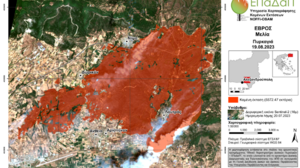 Πυρκαγιά στην Αλεξανδρούπολη: Μέχρι χθες είχαν καεί περισσότερα από 55.000 στρέμματα 