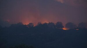 Φωτιά στην Αλεξανδρούπολη: Πυκνοί καπνοί «πνίγουν» την πόλη – Εκκενώθηκαν οκτώ οικισμοί – Ανησυχία για τη νύχτα