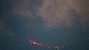 Αναζωπύρωση στα Βάγια Βοιωτίας - Απεγκλωβίστηκαν 2 κτηνοτρόφοι