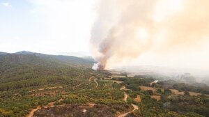 Εύβοια: Νέες πύρινες εστίες σε Δοκό και Κοντοδεσπότι 