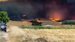 Φωτιά στον Έβρο: Νέο μήνυμα για εκκένωση άλλων δύο οικισμών - Στη μάχη και οι Ένοπλες Δυνάμεις