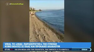 Φίδι "έκοβε" βόλτες στην παραλία