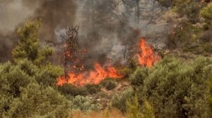 Στον εισαγγελέα ο 87χρονος που συνελήφθη να βάζει φωτιά στον Άγιο Στέφανο 