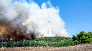 Ορεστιάδα: Φωτιά σε αγροτοδασική έκταση στα Λάβαρα Έβρου - Ενεργοποιήθηκε το 112