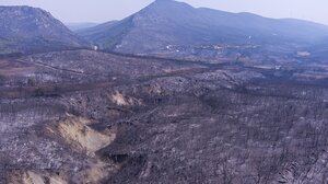 Μαίνεται η πυρκαγιά στον Εβρο - Ενισχύσεις από ευρωπαϊκά κράτη 