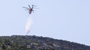 Κεφαλονιά: Στη φυλακή ο εποχικός πυροσβέστης που κατηγορείται για εμπρησμούς