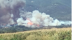 Νέα φωτιά στην Πάρνηθα- Στο σημείο ισχυρή πυροσβεστική δύναμη