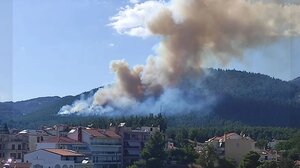 Τρίπολη: Συνελήφθη 29χρονος εμπρηστής για τη φωτιά στην περιοχή Άγιος Βλάσης